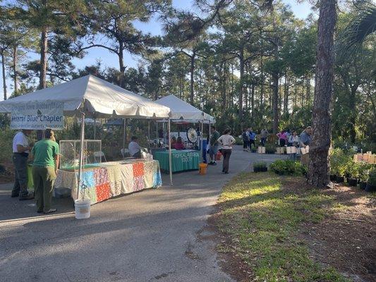 Native plant sale