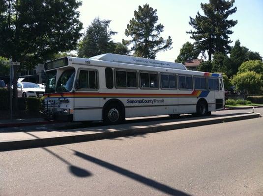 Bus in Sebastopol