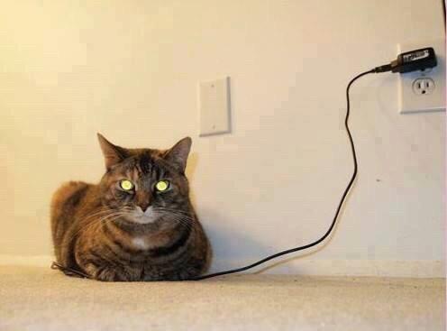 Charging the cat....