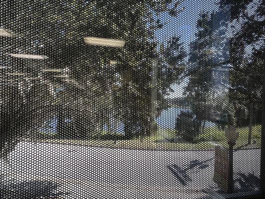 View of lake Crystal from the shaded library windows.