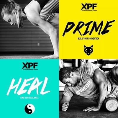 XPF Studio