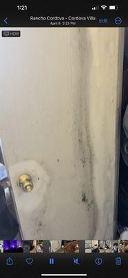 Molded door from flood