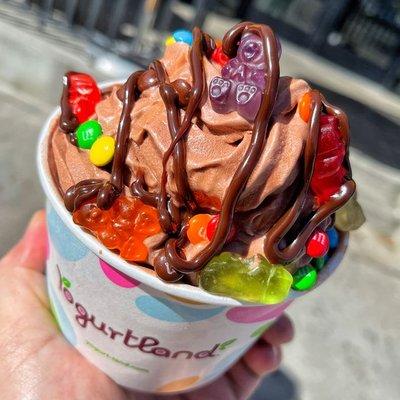 Custom Frozen Yogurt Creation - Chocolate Swirl