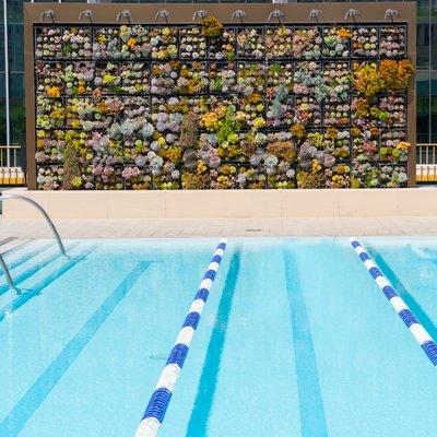 Rooftop pool at AquaVie Fitness + Wellness Center.