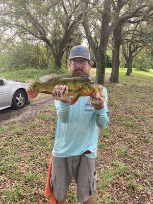 This is the dream fish of my youth. Took 40 years but Mr. Peacock Bass ate Lott Bro's live bait!!