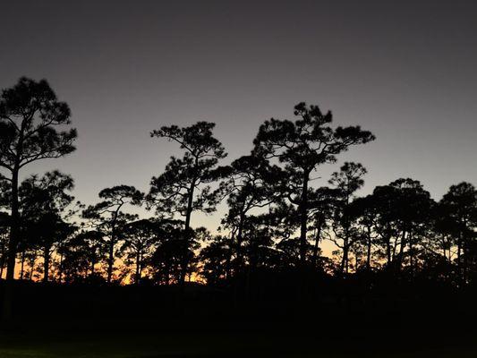 Sunset on the owl hike