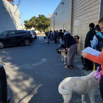 Long line formed before opening. Parking lot is tiny!