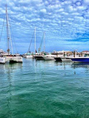 Conch Harbor Marina