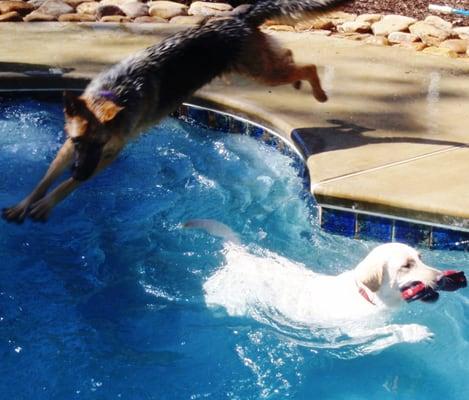 Fun in the pool!