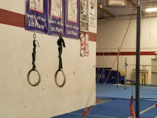 West Coast Olympic Gymnastics Academy