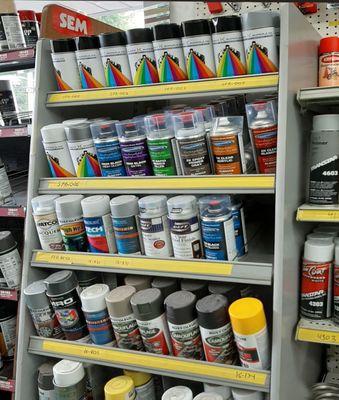 Large variety of Paint options