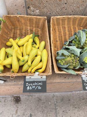 Farm to farm stand zucchini