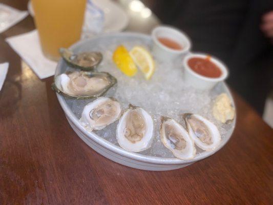 Oysters