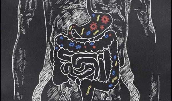 Assessing the health of the microbiome is key