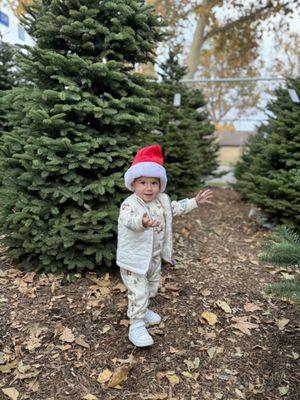 Frosty's Forest Christmas Tree Farm