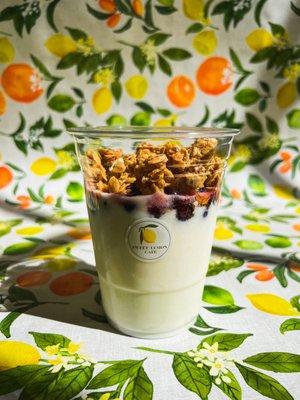 Homemade yogurt with granola and blueberry