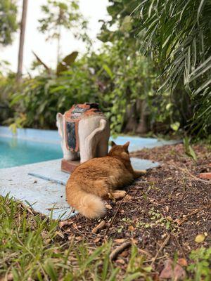 Ernest Hemingway Home 