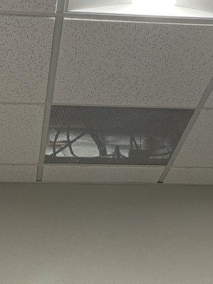 In an exam room and there's maintenance workers up in the ceiling! Unbelievable! No patient privacy.