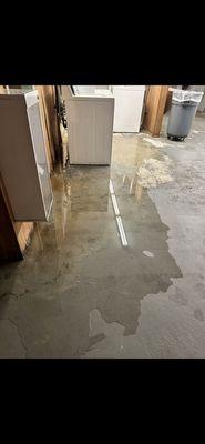 Flooded basement (storage + laundry down here)