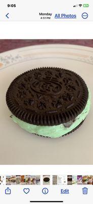 Mint Chocolate Chip Oreo Cookie Ice Cream