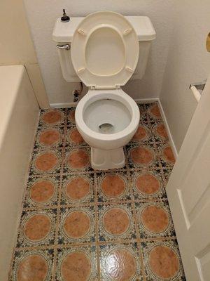 Fully cleaned bathroom (you really don't want to see the before pic).