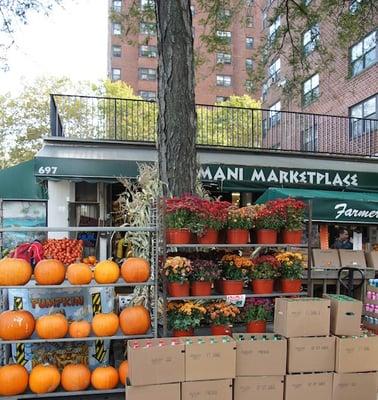 Autumn at Mani Market by www.grocery.com/area/ny. A cool little local find in my 'hood.