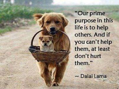 True joy can't be purchased at any price....just help someone and the joy you feel will make you feel like a millionaire