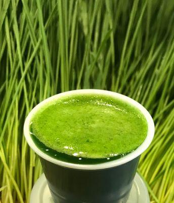 Wheatgrass Shot