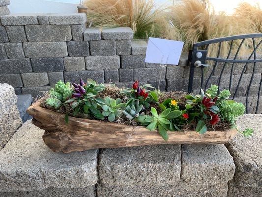 Back side Chestnut wood container filled with succulent and pops of color