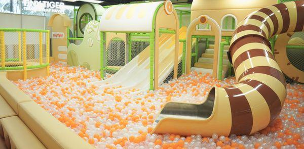 Ball pit, Slides, and Jungle Gym