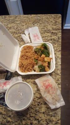 Mixed vegetables and tofu (appears to be in a brown sauce) with Wonton soup and fried noodles. Lunch portion.