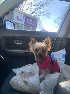 Waiting for her checkup!