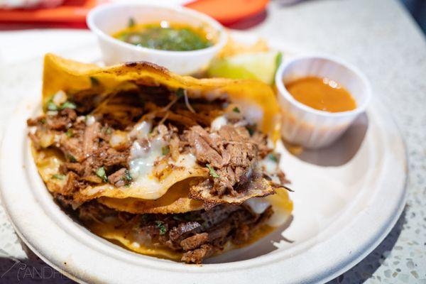 birria tacos