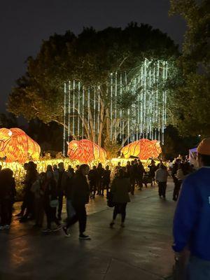 A Winding Walking Trail through a Myriad of Lighted Animal Themed Christmas Holiday Displays & Music @ LA Zoo Lights Dec. 2023