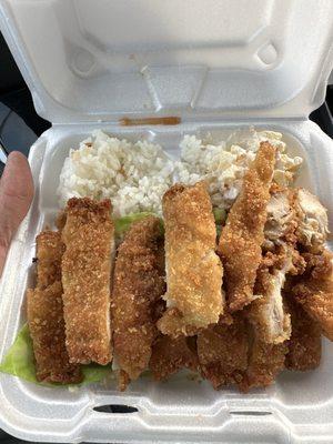 Chicken Katsu big portion