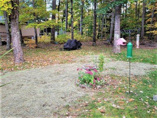 The professionals at Dyer, excavated a septic tank without disturbing the garden. Then reseeding the lawn.