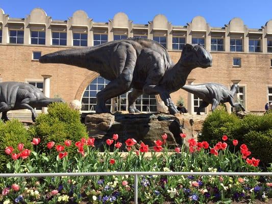 Fernbank Museum of Natural History