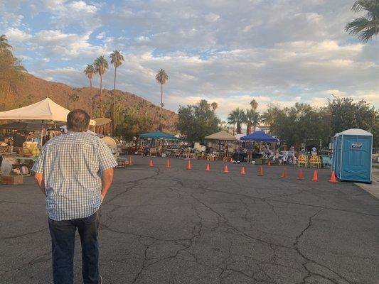 Budgie walks up to parking lot sale