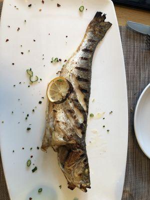 Grilled branzino