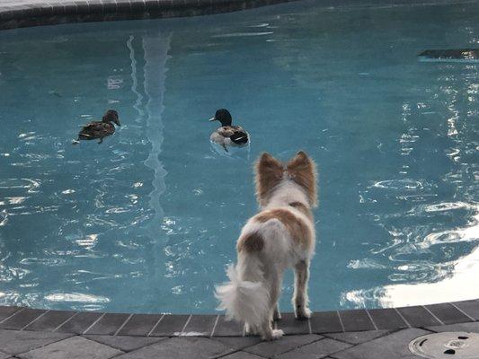 Morning visitors and supervisor.