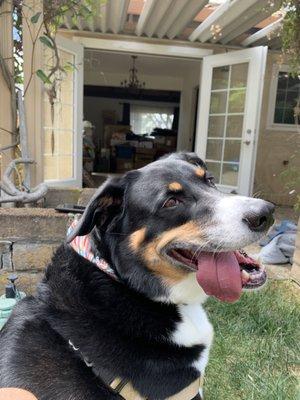 Arya on moving day - giving a big smile for the VS Crew