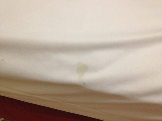 Stain at America's Best Value Inn - Union Square San Francisco