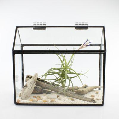 Clear Glass House with Lid Terrarium with Black Trim