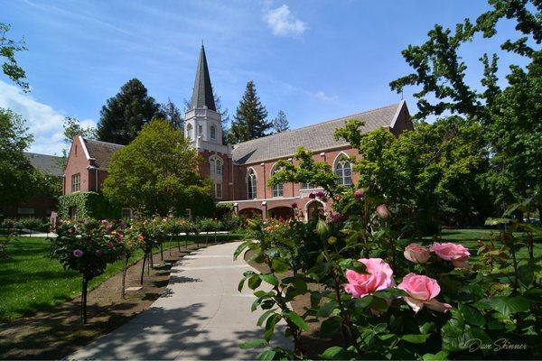 Morris Chapel Springtime