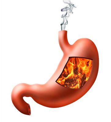 Did you know that eating a fried/FATTY meal full of animal fat could cause GERD or gastroesophageal reflux disease?