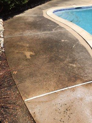 Before Cleaning Pool Deck