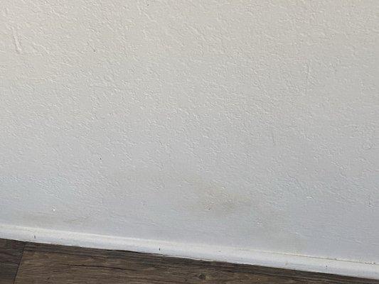 You can see the color contrast where the damp spot on the wall is