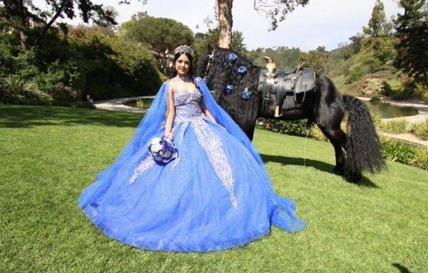 The photographer taking of photo of when the horse is peeing