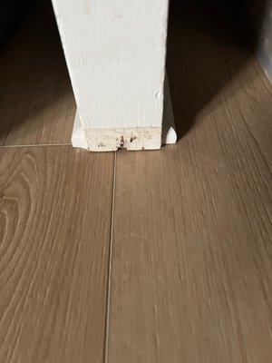 Precision Flooring