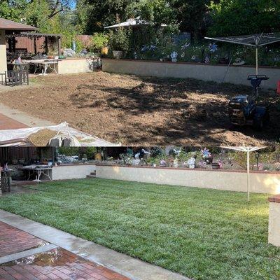 Sod installation before and after